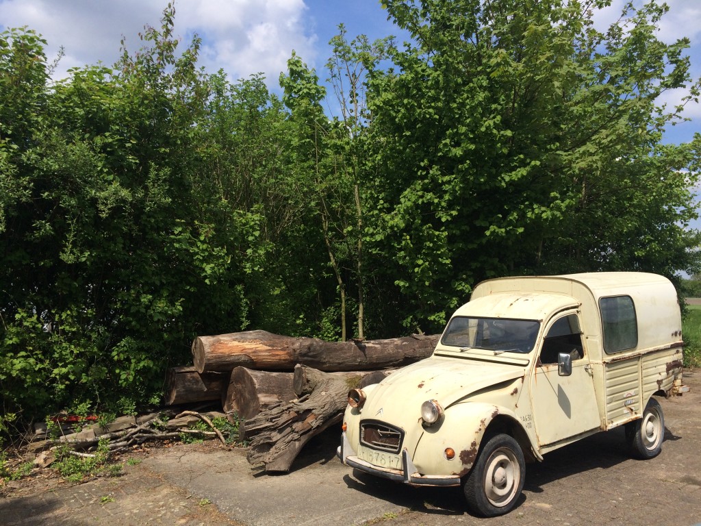 Foto 08-05-15 14 37 45 (1)