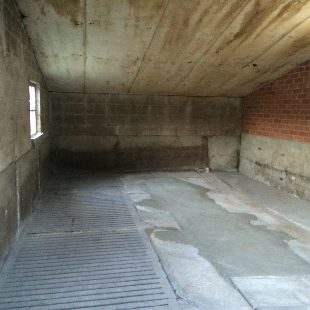 Foto 13-05-15 20 50 10