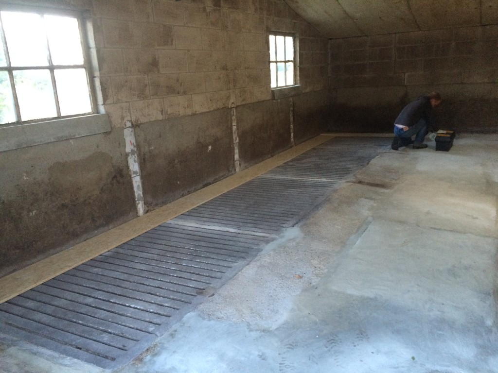 Foto 19-05-15 20 42 37